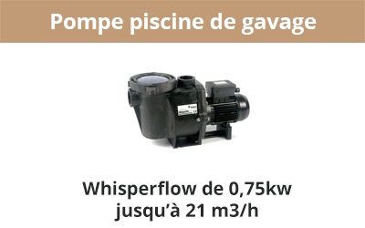 Pompe piscine de gavage whisperflow de 0,75kw jusqu’à 21 m3/h